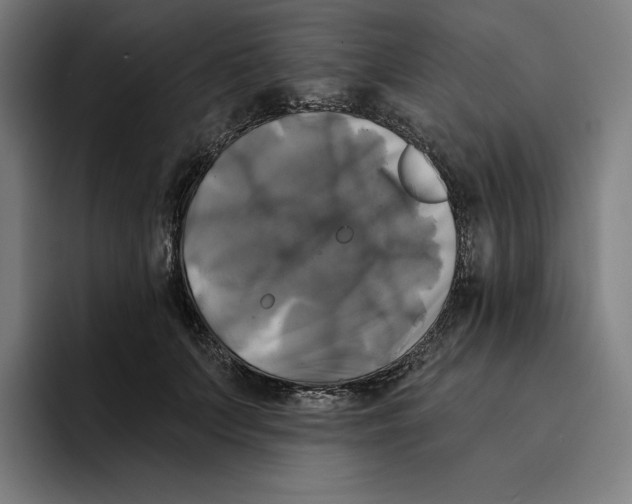 X0000094900703200712271452