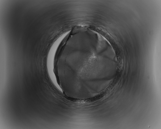 X0000094900704200712271452