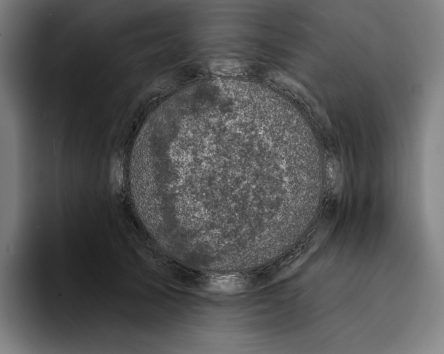 X0000094900705200712271452