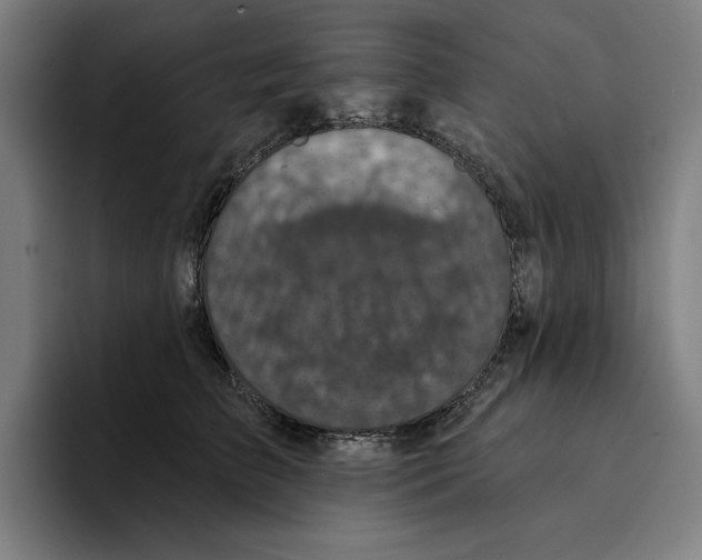 X0000094900709200712271452