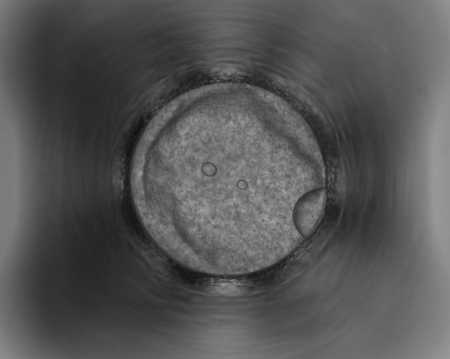 X0000094900710200712271452