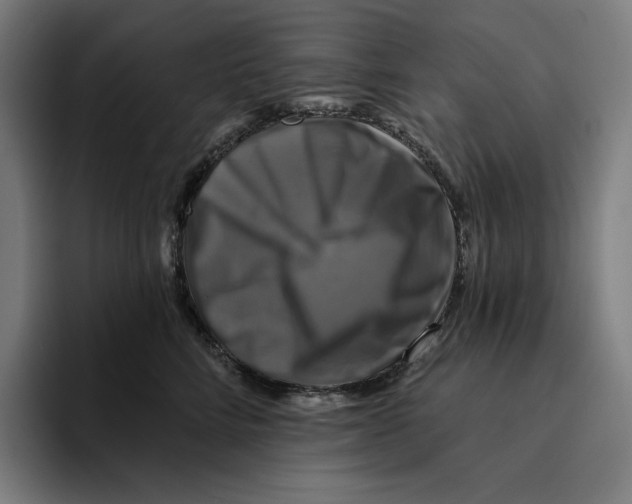 X0000094900712200712271452