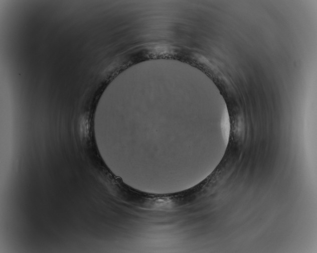 X0000094900715200712271452