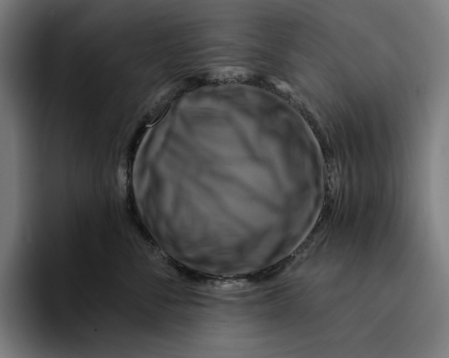 X0000094900716200712271452