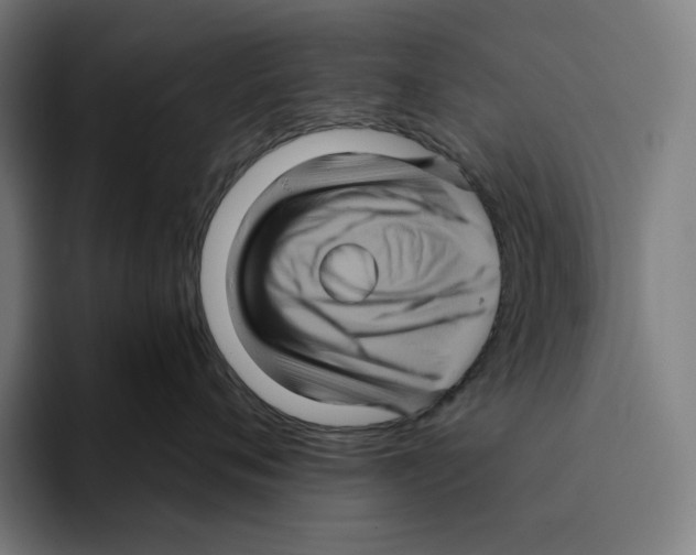 X0000094900720200712271452