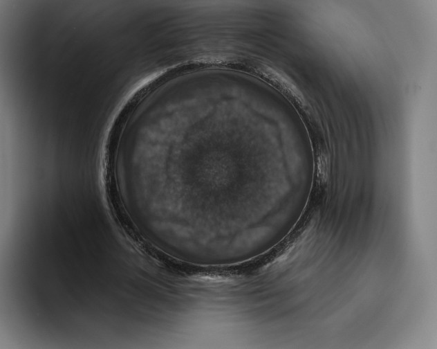 X0000094900724200712271452