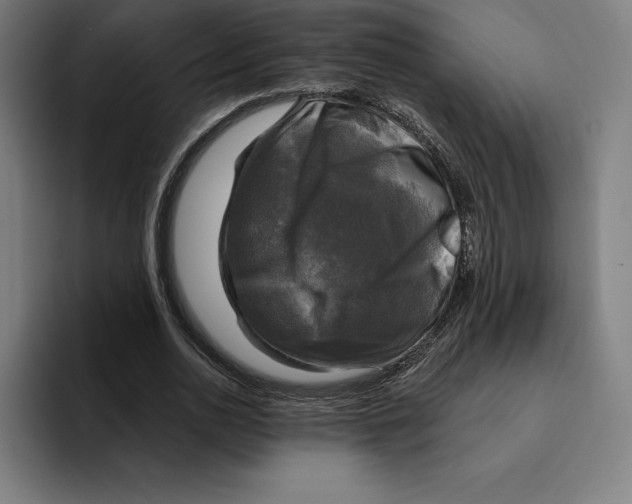 X0000094900726200712271452