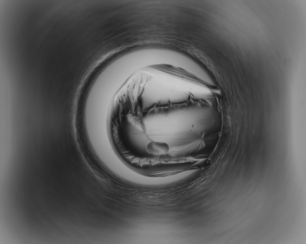 X0000094900728200712271452