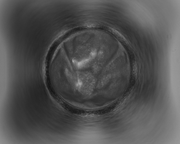 X0000094900730200712271452