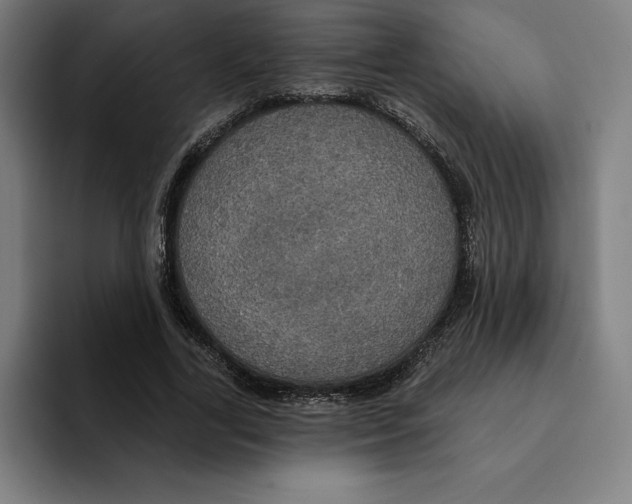 X0000094900731200712271452