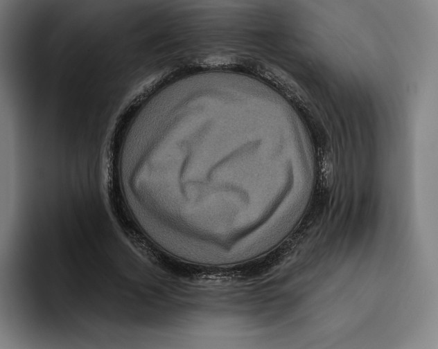 X0000094900732200712271452