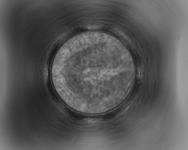 X0000094900733200712271452