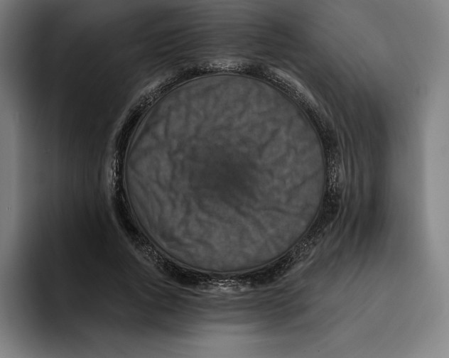 X0000094900736200712271452