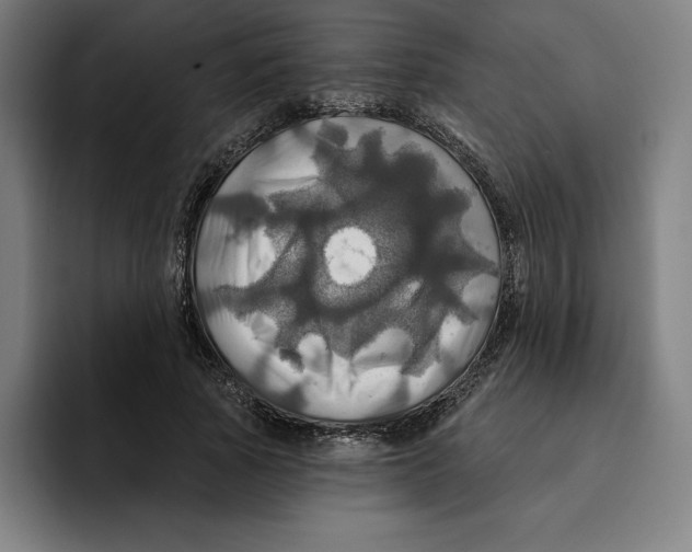 X0000094900737200712271452