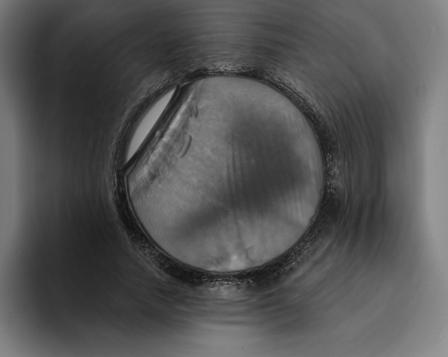 X0000094900738200712271452