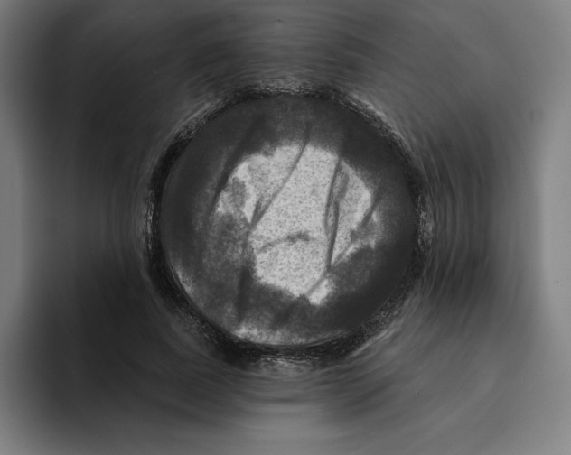 X0000094900739200712271452