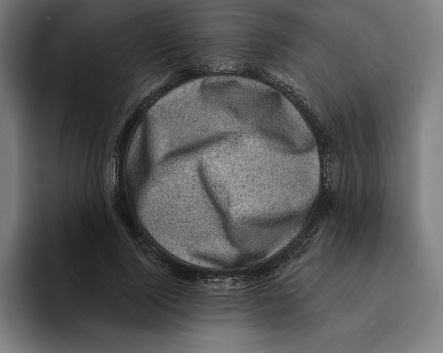 X0000094900740200712271452