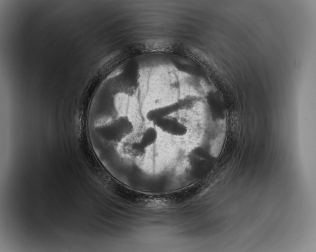 X0000094900741200712271452