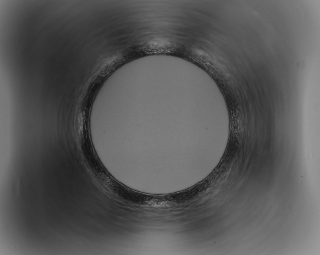 X0000094900742200712271452