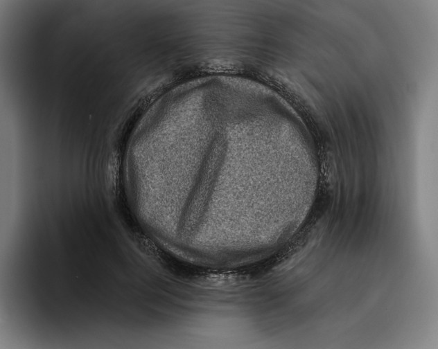 X0000094900744200712271452