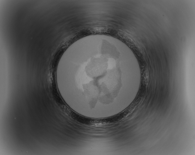 X0000094900746200712271452