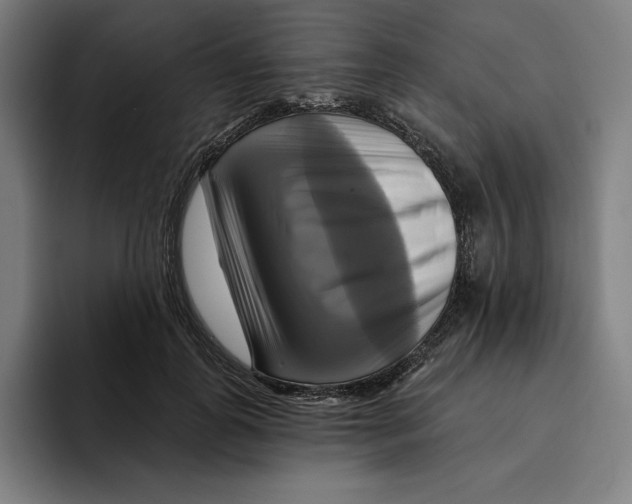 X0000094900747200712271452