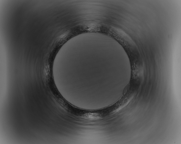 X0000094900748200712271452