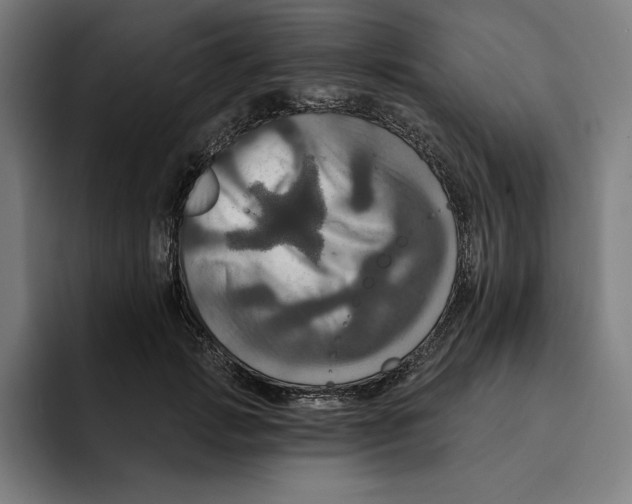 X0000094900749200712271452