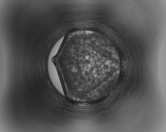 X0000094900753200712271452