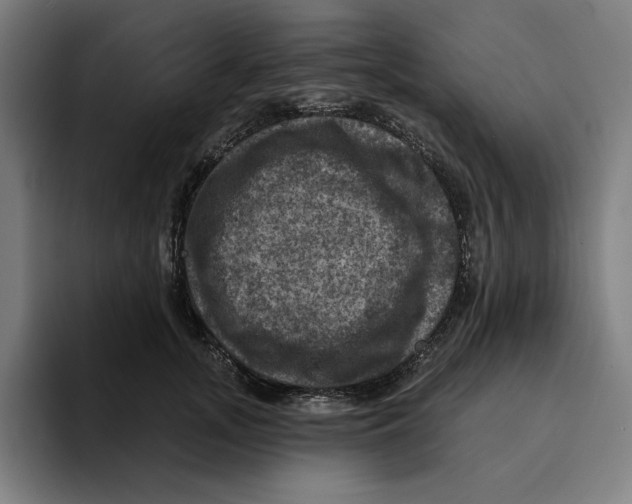 X0000094900755200712271452