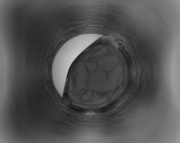 X0000094900759200712271452