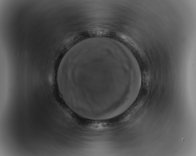 X0000094900760200712271452