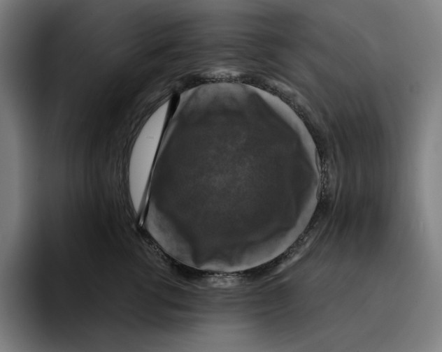 X0000094900762200712271452