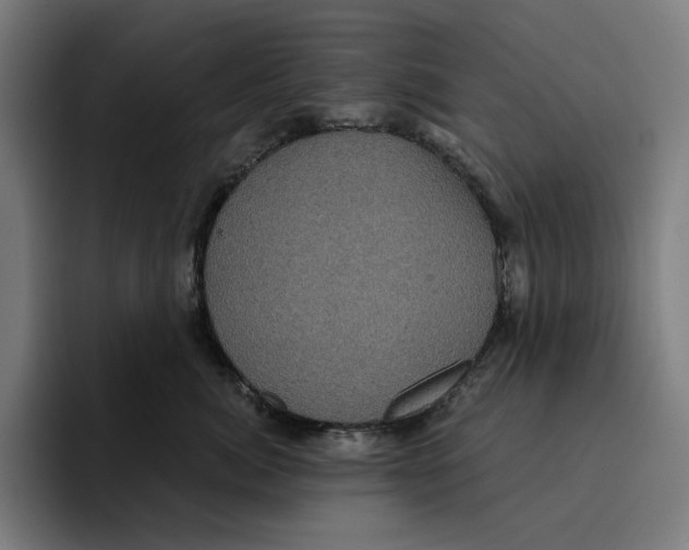 X0000094900764200712271452