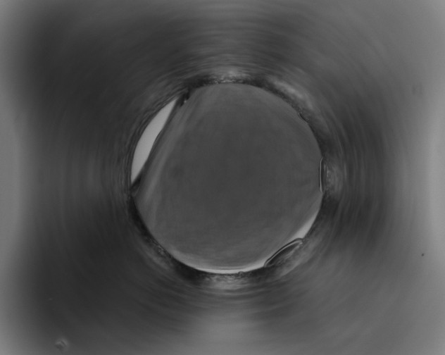 X0000094900766200712271452