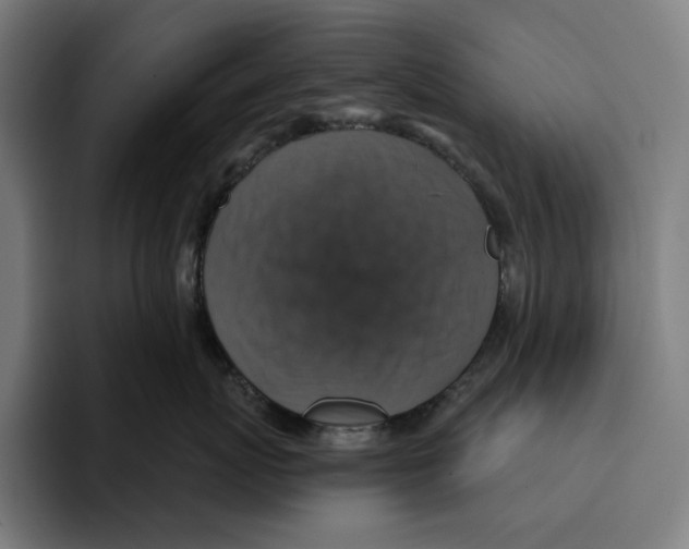 X0000094900767200712271452