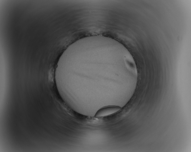 X0000094900768200712271452