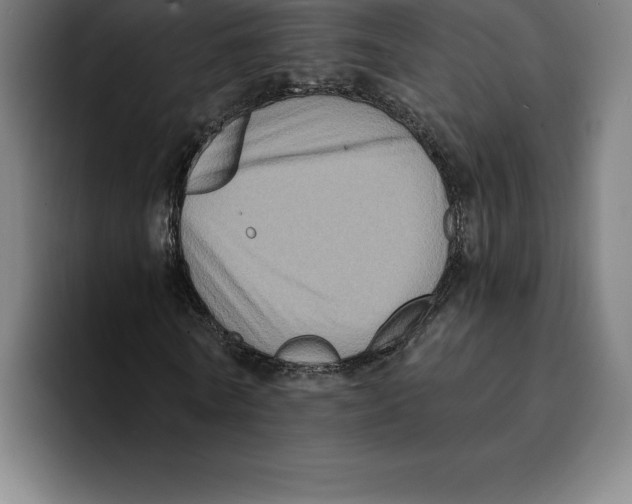 X0000094900770200712271451