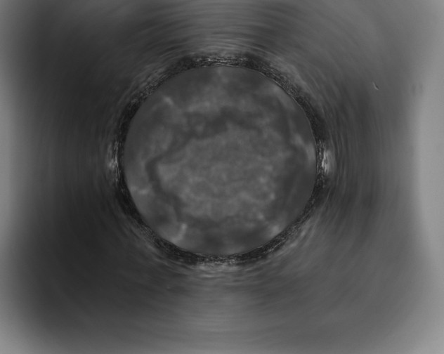 X0000094900771200712271451