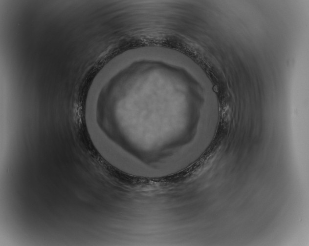 X0000094900772200712271451