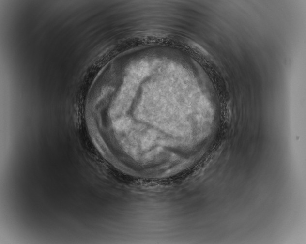 X0000094900774200712271451