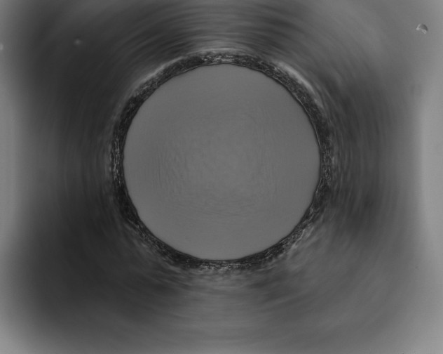 X0000094900775200712271451