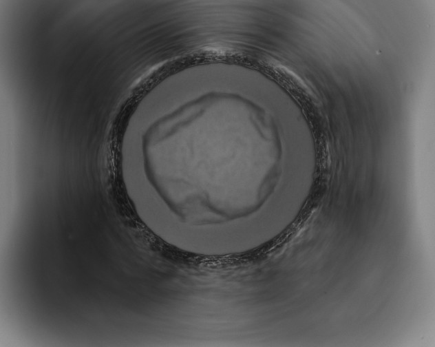 X0000094900776200712271451