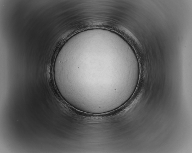 X0000094900777200712271451