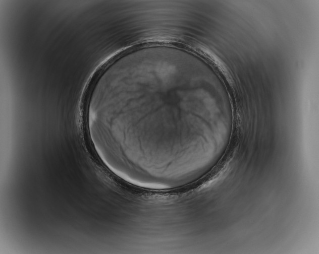 X0000094900779200712271451