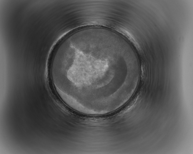 X0000094900780200712271451