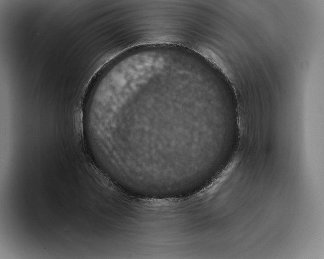 X0000094900781200712271451