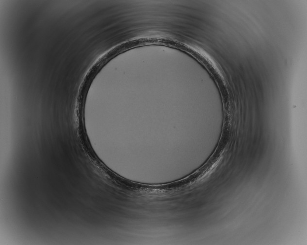 X0000094900783200712271451