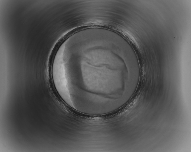 X0000094900784200712271451