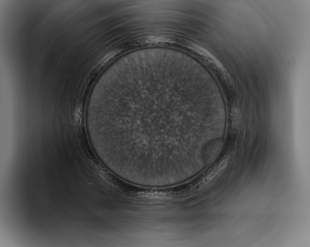 X0000094900785200712271451